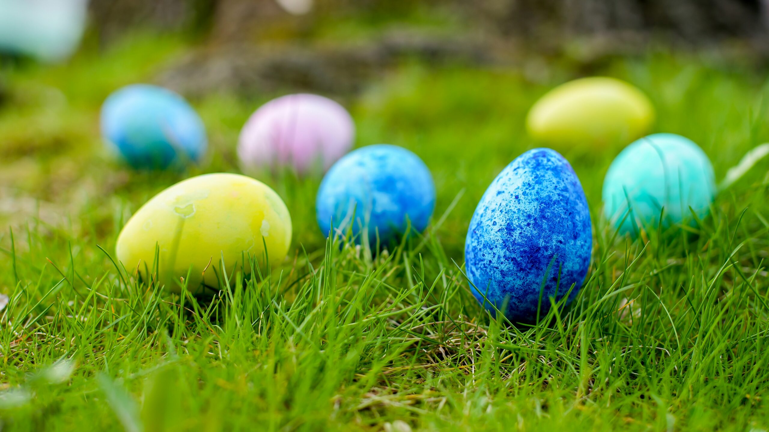 CTM Buona Pasqua